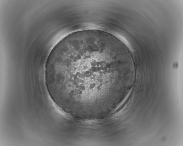 X0000091941047200709121615