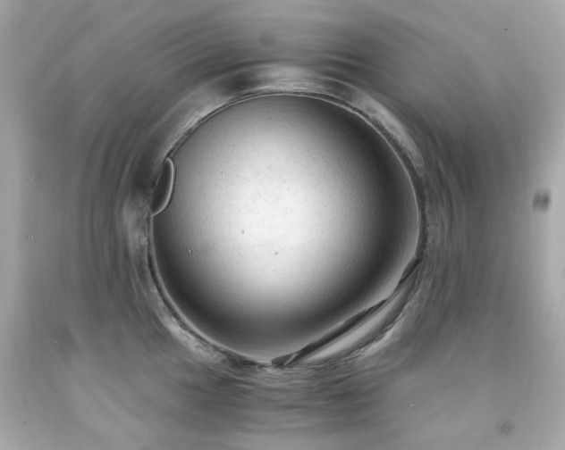 X0000091941049200709121615