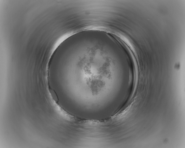 X0000091941050200709121615