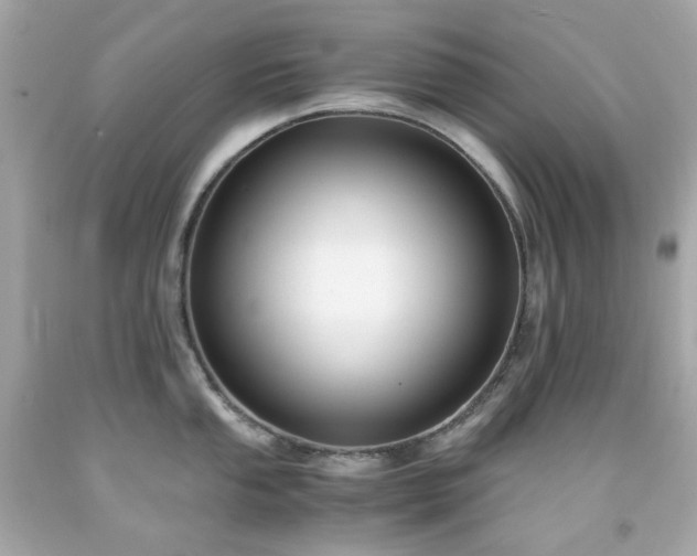 X0000091941053200709121615