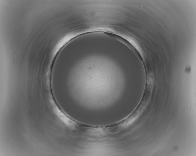 X0000091941054200709121615