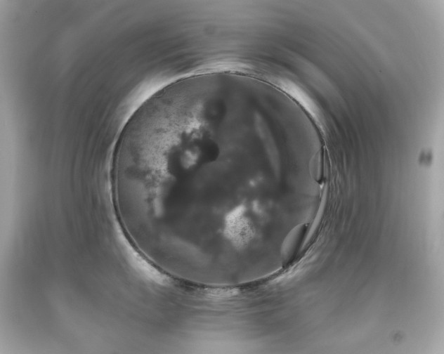 X0000091941055200709121615