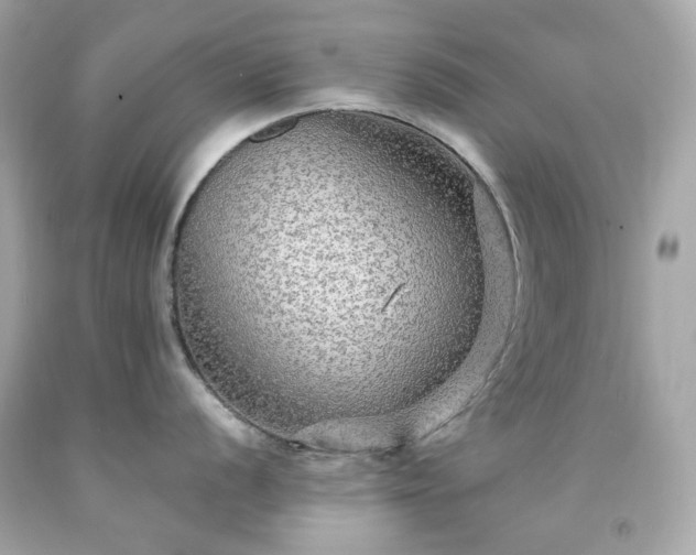 X0000091941056200709121615