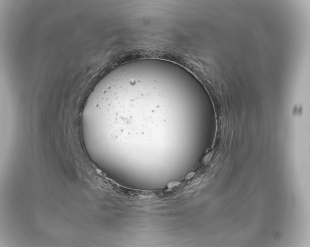 X0000091941057200709121615