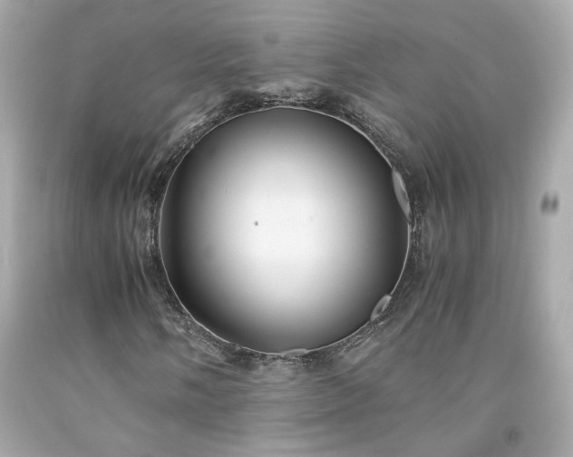 X0000091941058200709121614