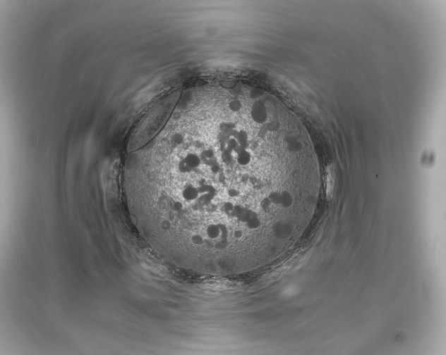 X0000091941059200709121614