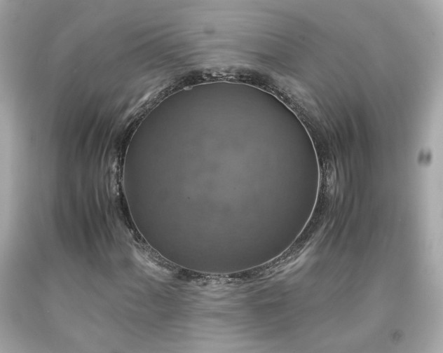 X0000091941060200709121614