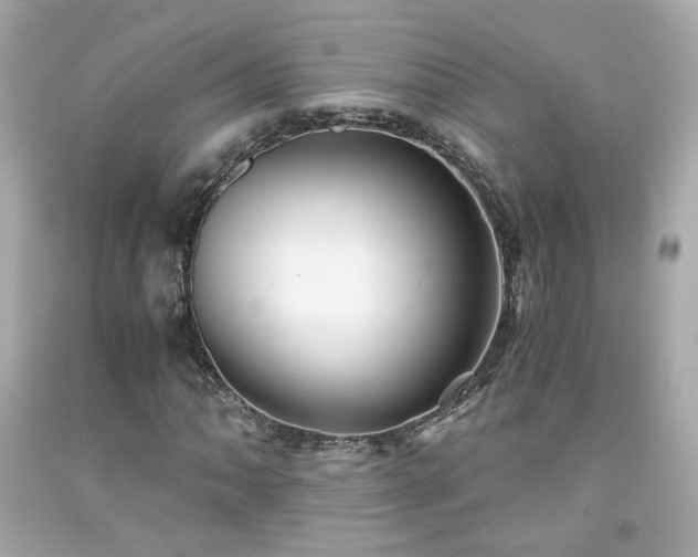 X0000091941062200709121614