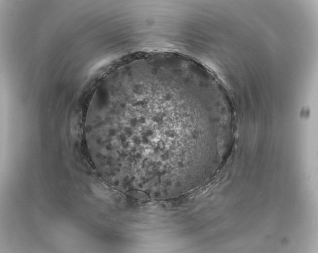 X0000091941063200709121614