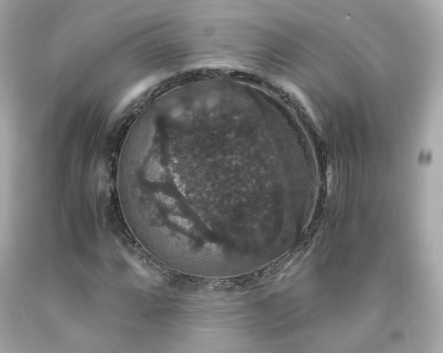 X0000091941064200709121614