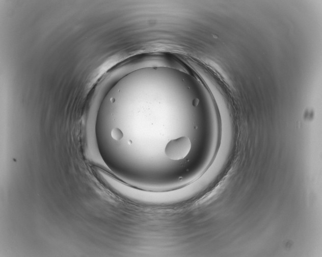 X0000091941065200709121614