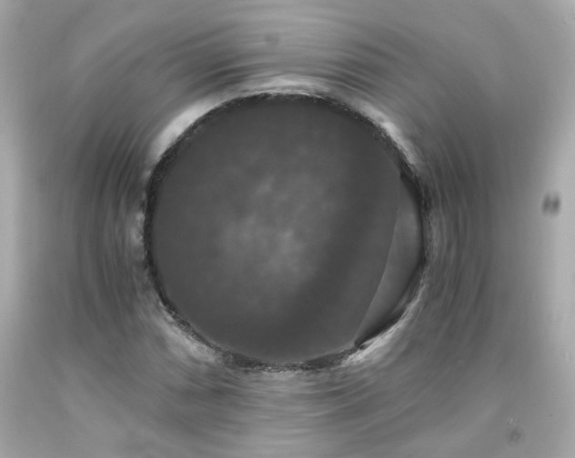 X0000091941066200709121614