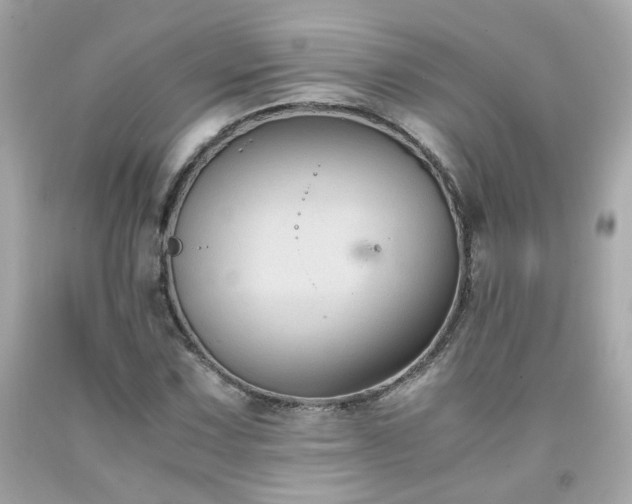 X0000091941067200709121614