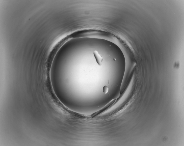 X0000091941069200709121614