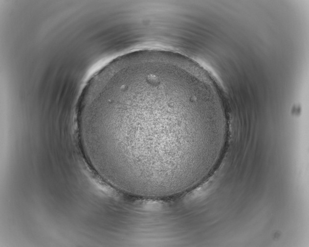 X0000091941070200709121614