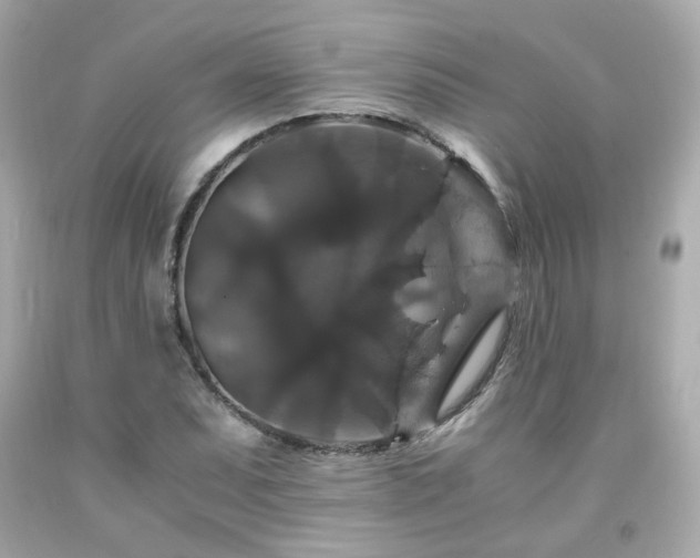 X0000091941071200709121614