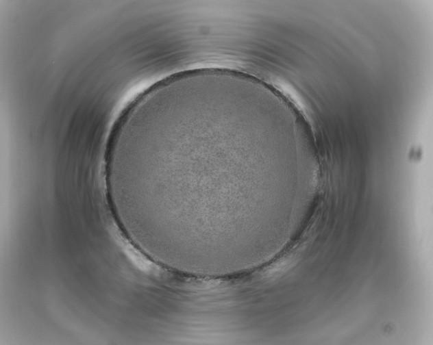 X0000091941072200709121614