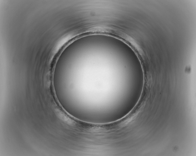 X0000091941075200709121614