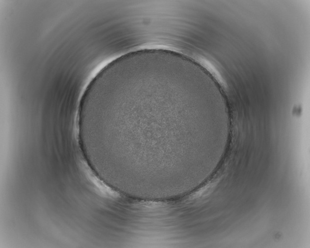 X0000091941076200709121614