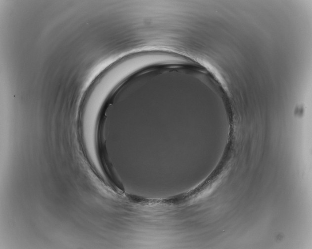 X0000091941077200709121614