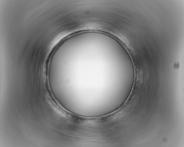 X0000091941078200709121614