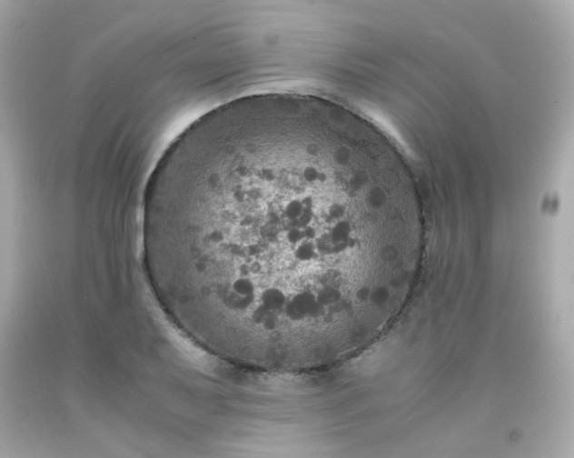 X0000091941079200709121614