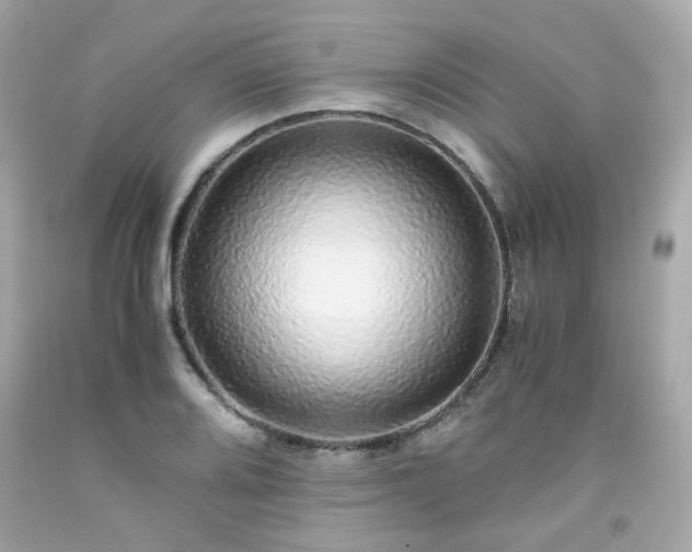 X0000091941080200709121614