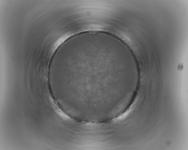 X0000091941081200709121614