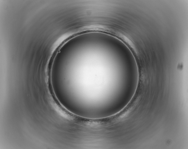 X0000091941082200709121614