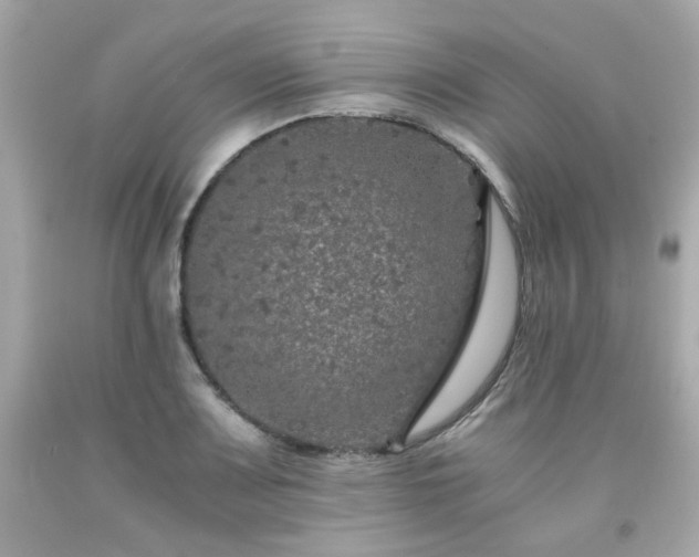 X0000091941083200709121614