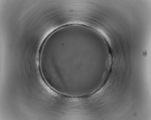 X0000091941084200709121614