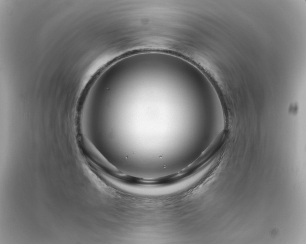 X0000091941085200709121614