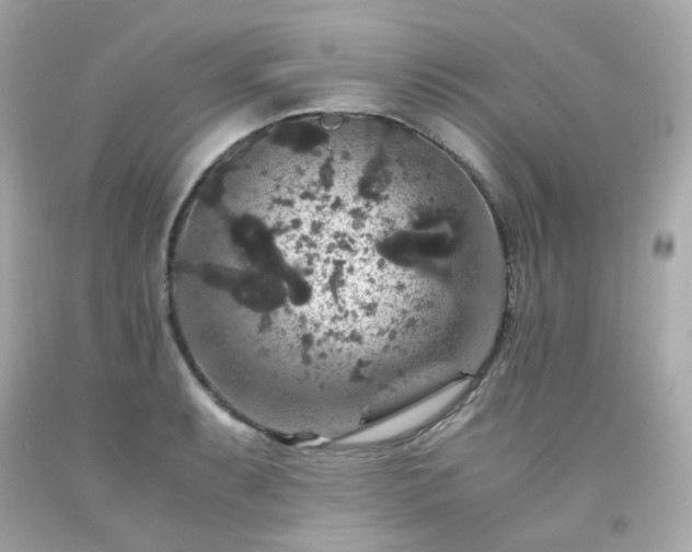 X0000091941087200709121614