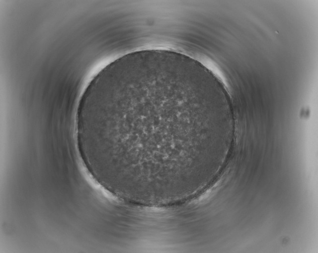 X0000091941088200709121614