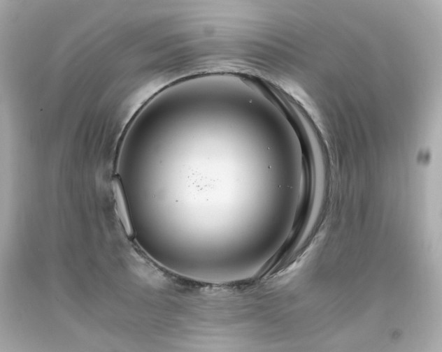 X0000091941089200709121614