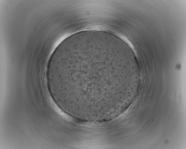 X0000091941091200709121614