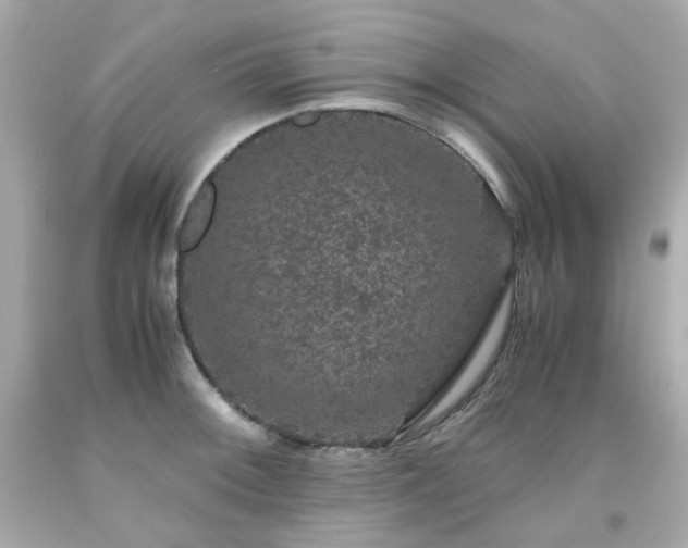 X0000091941092200709121614