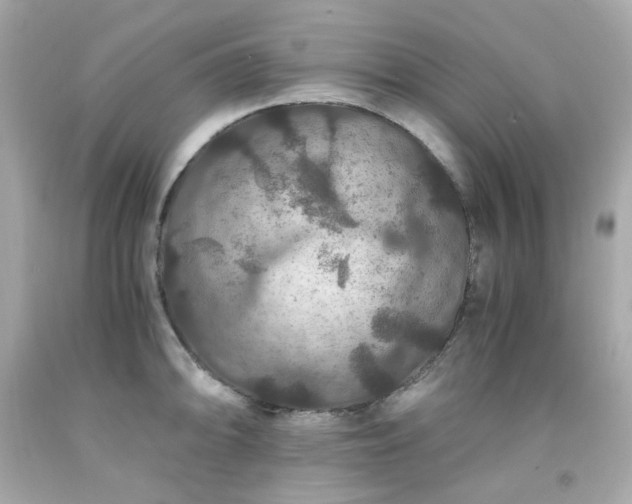 X0000091941094200709121614