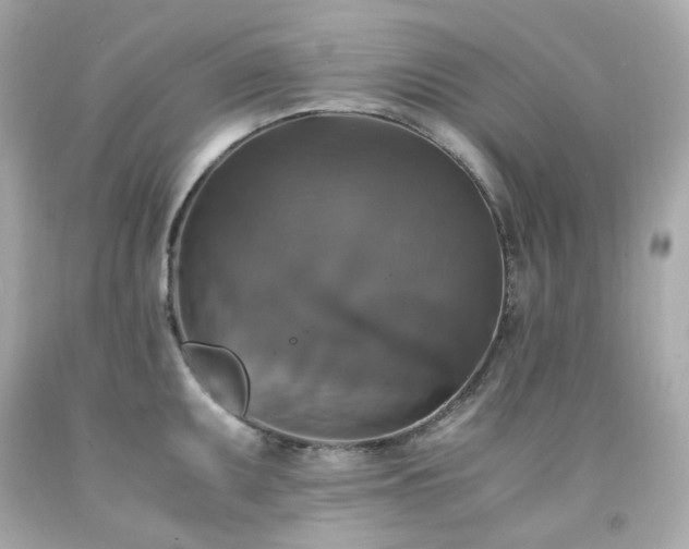 X0000091941095200709121614