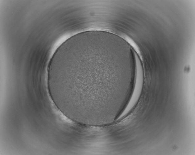 X0000091941096200709121614