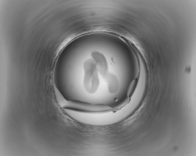 X0000091941097200709121614