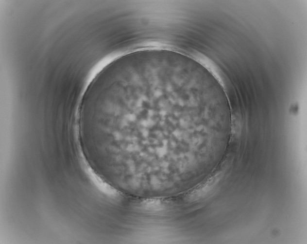 X0000091941098200709121614