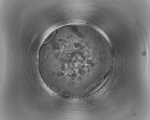 X0000091941099200709121614