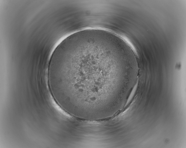 X0000091941100200709121614