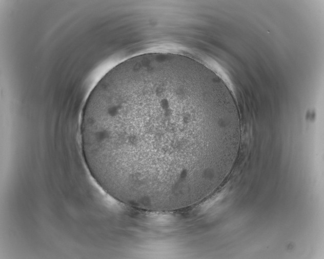 X0000091941103200709121614