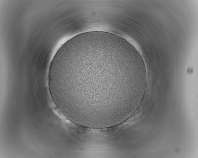 X0000091941104200709121614