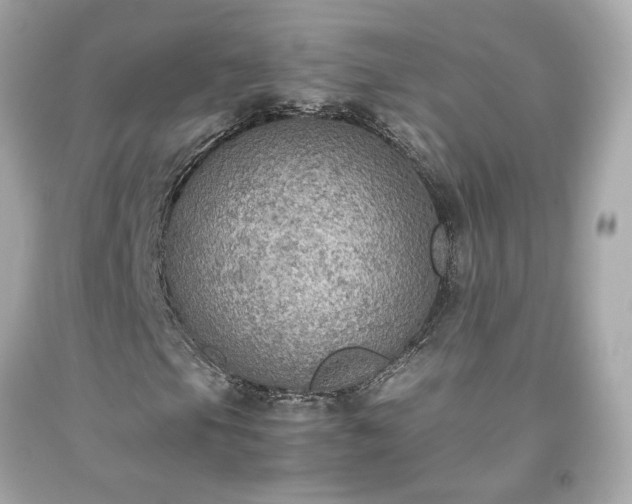 X0000091941105200709121613