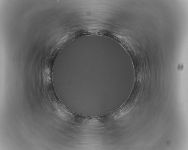 X0000091941106200709121613