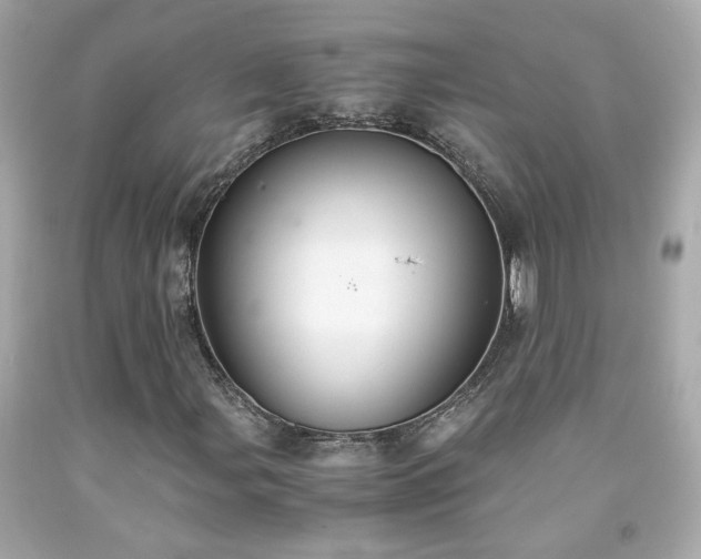 X0000091941107200709121613