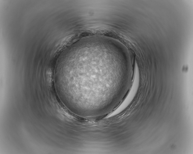 X0000091941108200709121613